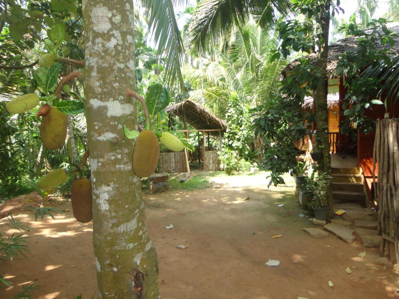 The Green Station Hotel Dikwella Bagian luar foto
