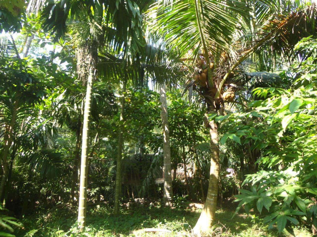 The Green Station Hotel Dikwella Bagian luar foto